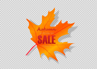 Autumn Sale Banner with Autumn leaves. Vector background.