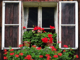 Fototapeta na wymiar Hübsch dekoriertes Fenster in einem alpenländischen Haus