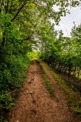 The Fröbelblick is a picturesque vantage point in the Thuringian Forest, from which you can enjoy a wonderful view over the entire Rinnetal and the surrounding mountains.