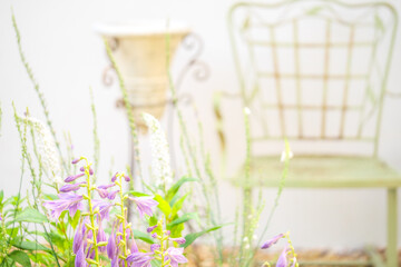 ガーデニンチェアとギボウシの花/イングリッシュガーデン/シャビーなアンティークのガーデン小物