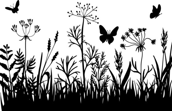 Black silhouettes of grass, flowers and herbs. Isolated. Hand drawn sketch flowers and insects. Background herbs natural silhouette. Butterflies and dragonflies fly over a flowering meadow. Vector