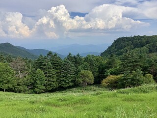 Scenery of Utsukushigahara Plateau in summer at an altitude of 2000m