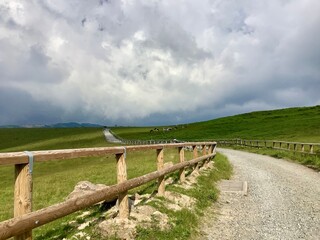 Scenery of Utsukushigahara Plateau in summer at an altitude of 2000m