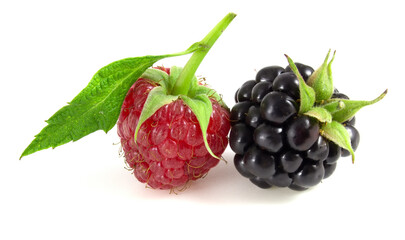 Raspberry with blackberry on white background.