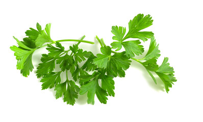 Parsley leaves lie isolated on white background. Greens seasoning for cooking.