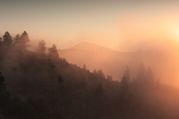 Fototapeta premium Mountain valley covered with majestic morning fog