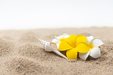 砂浜とプルメリアの花