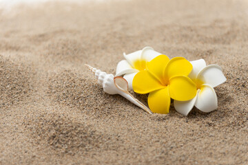 砂浜とプルメリアの花