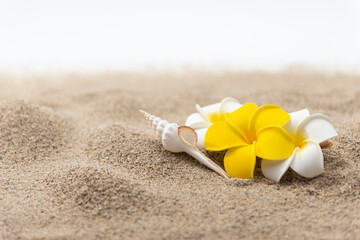 砂浜とプルメリアの花