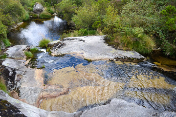 Dans les monts, la découverte d'un ruisseau avec une eau pure.