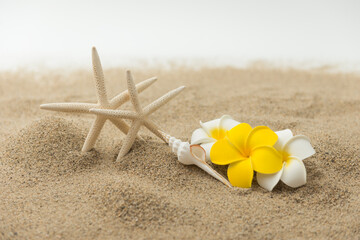 砂浜とプルメリアの花