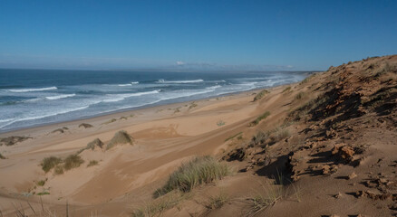 Desolate beach vista