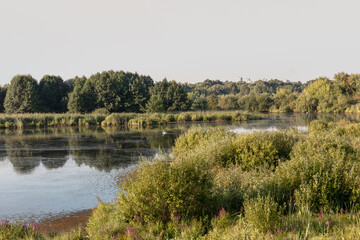 A small cozy lake near the city of Naberezhnye Chelny, Tatarstan, Russia. In the middle plan, two swans are swimming.