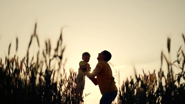 Happy family. Father tosses his son up. Family in wheat field. Father throws his baby son at sunset. Happy family concept. Father holds baby son in his arms and throws him into sky in wheat field.