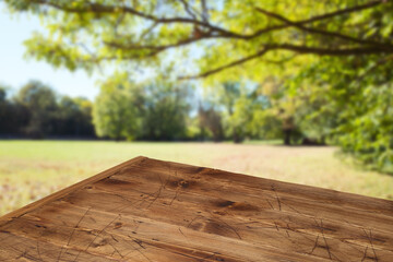 Empty wooden table  over autumn nature park background. Picnic mock up for design and product...