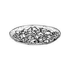 Mapo tofu on plate. Vintage vector hatching hand drawn illustration isolated