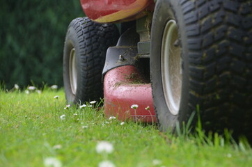 Hausmeisterservice Rasenmäher im Garten