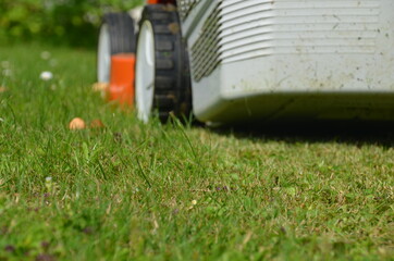 Hausmeisterservice Rasenmäher im Garten