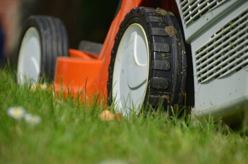 Hausmeisterservice Rasenmäher im Garten