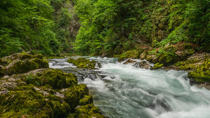 Vintgar gorge, Slovenia. River near the Bled lake with wooden tourist paths, bridges above river and waterfalls. Hiking in the Triglav national park. Fresh nature, blue water in the forest.