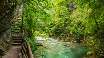 Vintgar gorge, Slovenia. River near the Bled lake with wooden tourist paths, bridges above river and waterfalls. Hiking in the Triglav national park. Fresh nature, blue water in the forest.