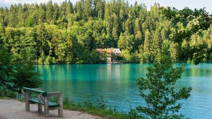 View of the beautiful Lake Bled in Slovenia, Julian Alps and green forests.