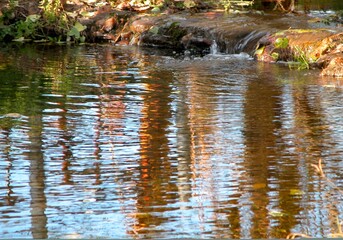 Fototapeta premium Reflection in a Stream