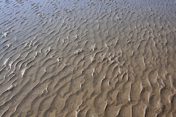 The appearance of mudflats after low tide.