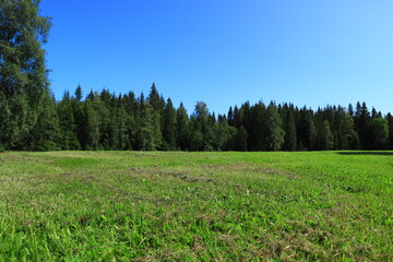 Great green lawn or field during the summer in the month of July. Forest in the background. Blue sky. Copy space for extra text. Concept of freedom and relaxation. Värmland, Sweden, Europe.