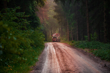 Ein Holzkran f&auml;hrt durch den Wald