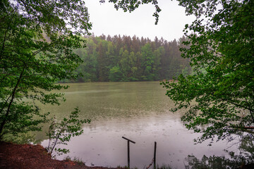 Romantischer Weg zu einem Waldsee