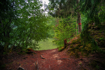 Romantischer Weg zu einem Waldsee
