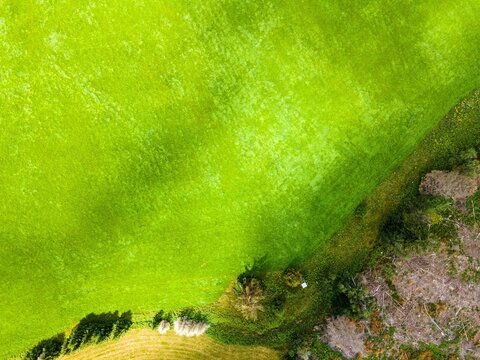 The Thuringian landscape is like a painting that would make even Bob Ross jealous &ndash; with more greenery than in a salad buffet