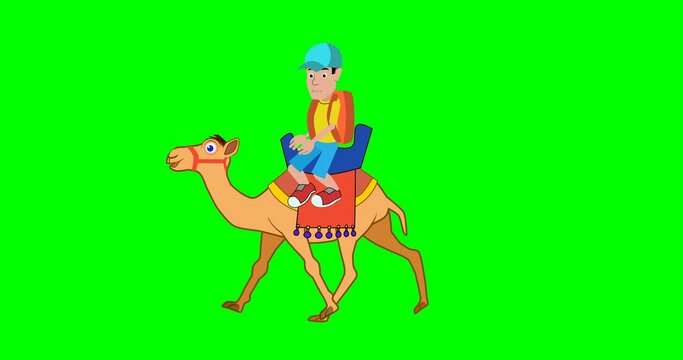 Tourist sitts on the camel, 2d loop animation, walk cycle, green screen