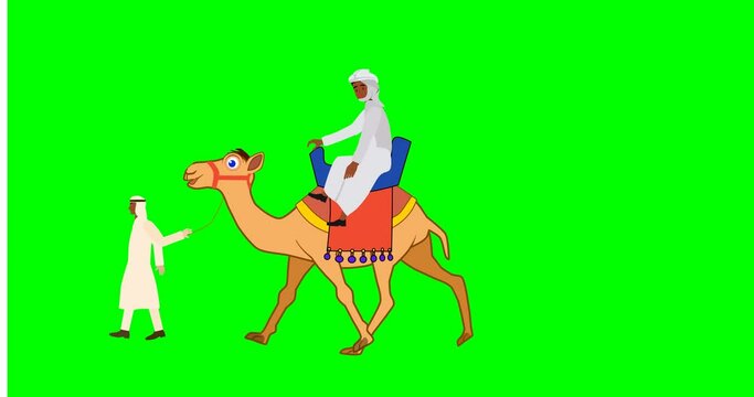 Tourist sitts on the camel, 2d loop animation, walk cycle, green screen