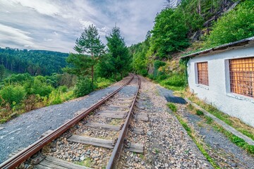 Fototapeta na wymiar railway in the forest