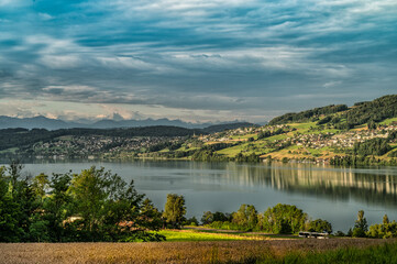 Fototapeta na wymiar view of the lake on a beautiful summerday