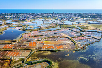 Salt marshes of Guerande, France