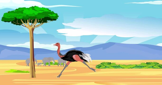 Running ostrich 2d cartoon loop animation, green screen