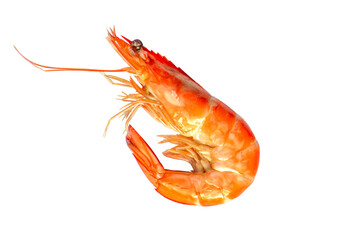 Red cooked prawn or shrimp isolated on white background