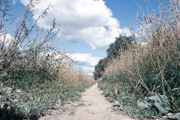 Fototapeta premium Trail