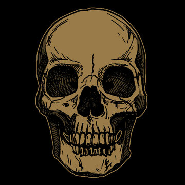 skull with crossbones