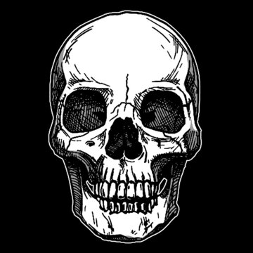 skull on black