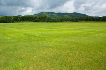 green grass field and blue sky