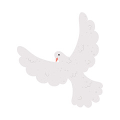 white dove icon