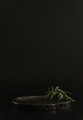 Black podium on the black background with tropical leaves. Podium for product, cosmetic presentation. Creative mock up. Pedestal or platform for beauty products.