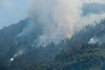 Fototapeta premium Incendios fire