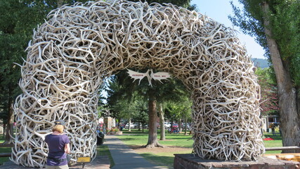 Horns Aplenty Jackson Hole Wyoming