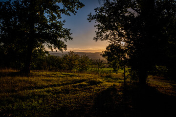 Fototapeta na wymiar Sunset through trees