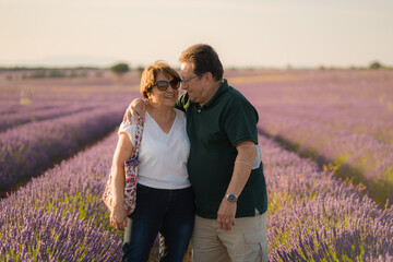 romantic lifestyle portrait of senior hispanic couple happy and relaxed at lavender flowers field...